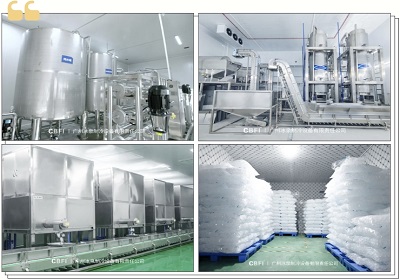 Les secrets de la glace comestible à fonte lente : techniques et solutions par CBFI