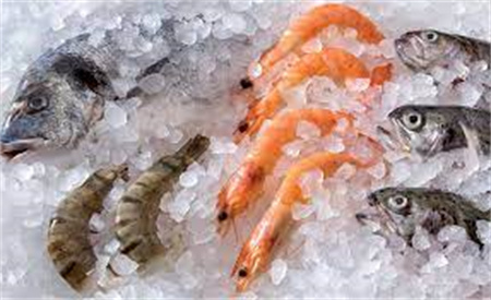 Les machines à glace de pêche améliorent l'industrie des fruits de mer