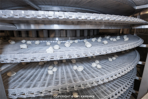 Étude de cas : Ligne de production de raviolis surgelés d’une capacité de 1 tonne par heure à Orsk, en Russie