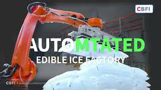 Robot de palettisation intelligent pour les usines de glace | Empilage des sacs de glace plus rapide, plus sûr et plus efficace