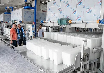 Usine à glace à bloc de refroidissement direct de 162 tonnes | Machines à blocs de glace avancées par CBFI