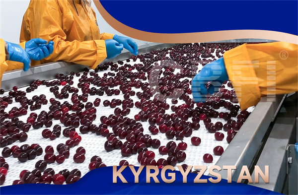 CBFI participe à l'Expo de la chaîne du froid du Xinjiang, explorant de nouvelles opportunités dans la chaîne du froid dans le cadre de l'Initiative la Ceinture et la Route